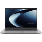 ASUS ExpertBook P1 PM1503CDA-S70228 Преносими компютри