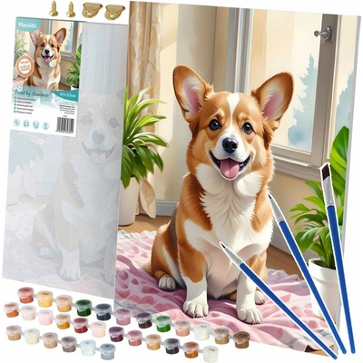 Massido Malba podle čísel Corgi pes 40 x 50 cm