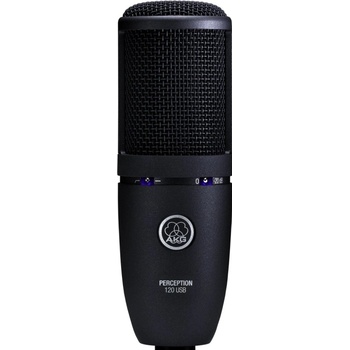 AKG P 120