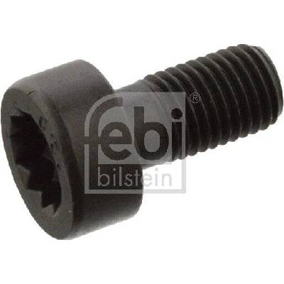 Šroub setrvačníku FEBI BILSTEIN 07584