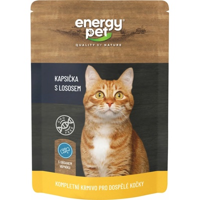 Energy Pet cat losos 100 g