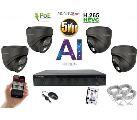 Monitorrs Security 6371K4
