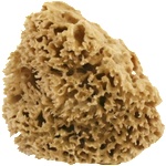 Cose della Natura Honeycomb - натурална гъба - Медиум, 8-10 г
