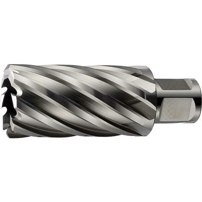!!!! ABSE N-HS-W19-0650050