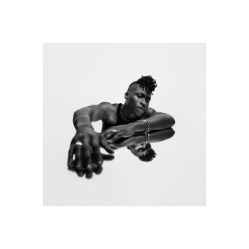 Lucky Daye - Algorithm / Vinyl / 2LP 2 LP