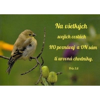 Pohľadnica: Na všetkých svojich cestách...