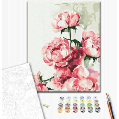 BRUSHME Malování podle čísel 40 x 50 cm akvarelové pivoňky 1 ks v krabičce