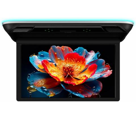Xtrons CM215HD
