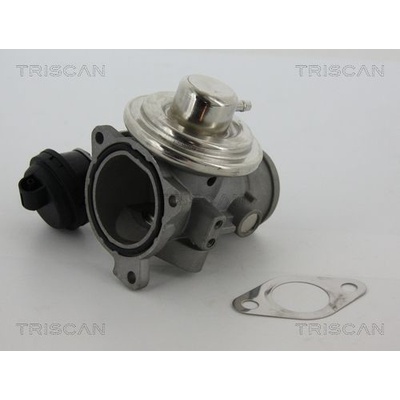 AGR - Ventil TRISCAN 8813 29057