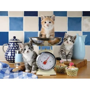 Ravensburger - Puzzle Kittens in the Kitchen - 1 500 piese