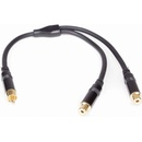 Master audio RCA100