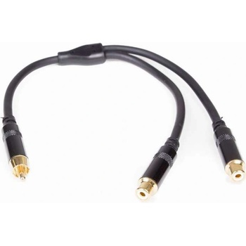 Master audio RCA100