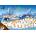 Grafika Art Puzzle - Puzzle François Ruyer - Dreaming - 1 000 piese