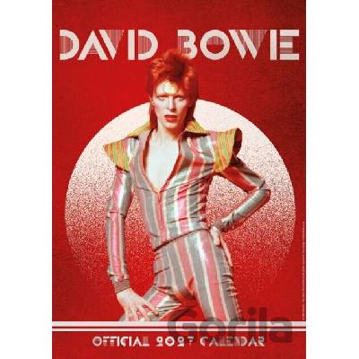 Oficiální nástěnný David Bowie A3 29,7 x 42 cm 2027