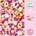 DJECO - Игра създай Бижута Wooden Beads and Birds ST1