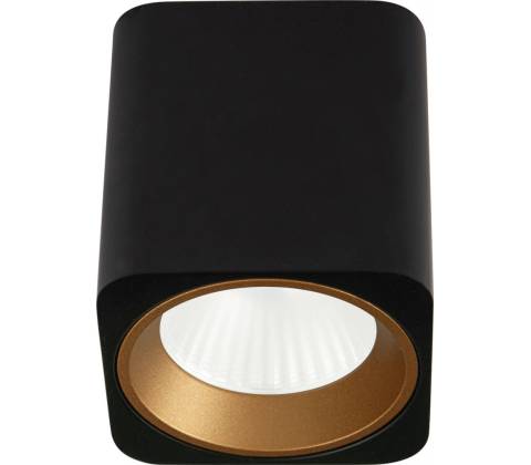 MaxLight C0212
