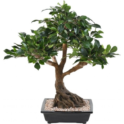 Umelý Bonsai Ficus folia v kvetináči, 58cm