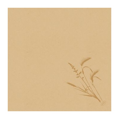 BioDunisoft Ubrousek Meadow Natural 60ks 40x40cm