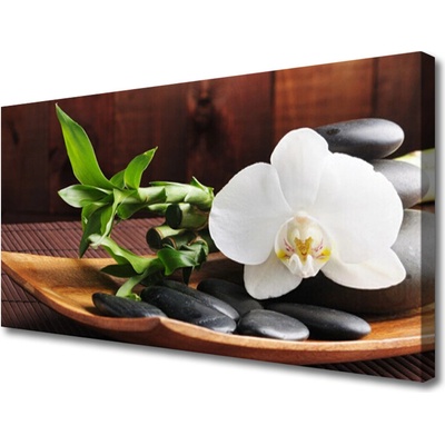 Obraz Canvas Kamene zen biela orchidea 100x50 cm