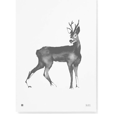 Teemu Järvi Plagát s motívom srnca Roe Deer 50x70