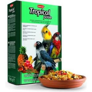 Padovan Tropical Pâtée Пълноценна храна с тропически плодове за средни папагали 700 гр