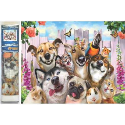 Norimpex - Puzzle Diamant painting: Crazy selfie 30x40cm - 1 - 39 piese