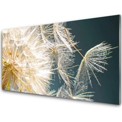 Skleneny obraz Púpava rastlina 100x50 cm