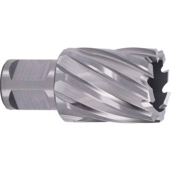 ABSE N-HS-W19-0280025