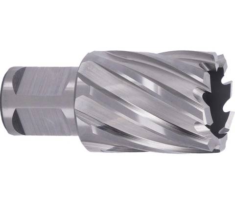 ABSE N-HS-W19-0280025
