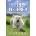 Puppy Listener | Jan Fennell