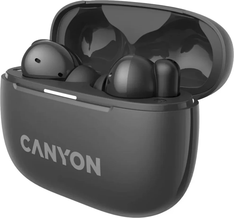 CANYON OnGo 10 CNS-TWS10