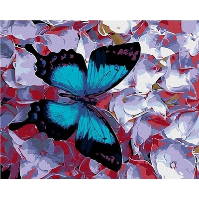 zuty Malování podle čísel Modrý motýl a kvítka 100 x 80 cm vypnuté plátno na rám