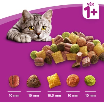 Whiskas Adult s kuřecím mäsom 14 kg