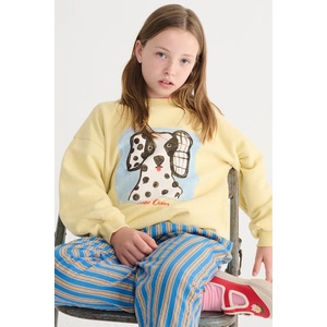 Bobo Choses Детски памучен суичър Van Dog (126AC041)