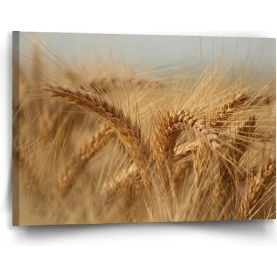 Sablio Obraz Klasy 2 - 90x60 cm