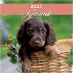 Lizzycalendar Стенен календар LIZZYCALENDAR 300x600 мм, вертикален, Кучета 2027 (7540227001)