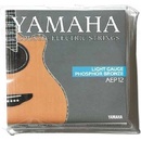Yamaha AEP 12