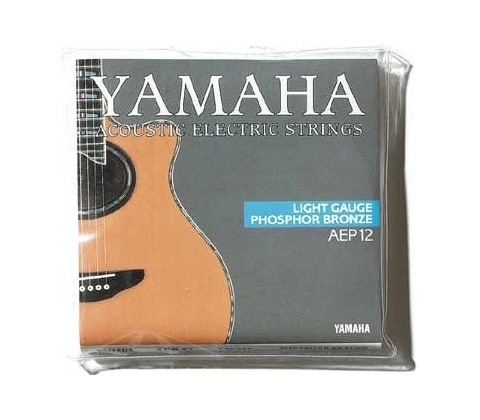 Yamaha AEP 12