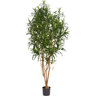 Umelá rastlina Dracaena anita branched 150 cm