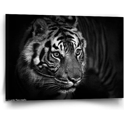 Sablio Obraz Čierno-biely tiger - 90x60 cm