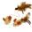 Kerbl Играчка за котки Kerbl Mice with Feathers Nature - Мишка натурална с пера 2бр - 4, 5 см - Kerbl Германия 82633