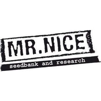 Mr. Nice U2 semena neobsahují THC 15 ks
