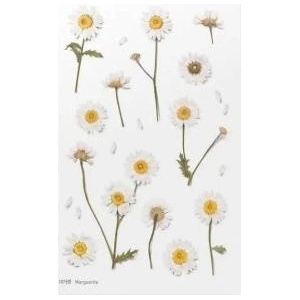 Appree Decorative flowers stickers - Margaretki