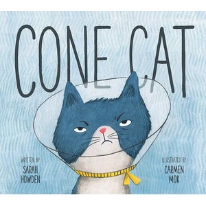 Cone Cat | Carmen Mok (ISBN: 9781771473613)