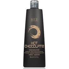 BES Color Reflection Shampoo Hot Chocolate 300 ml