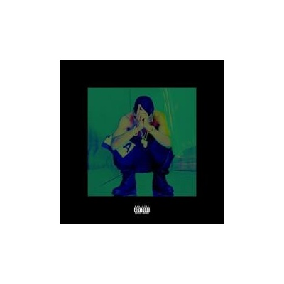 BIG SEAN: HALL OF FAME, CD