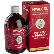 Hyalgel Collagen MAXX višeň 500 ml