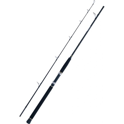 WFT Seadart Special Fjord 2,1 m 30-300 g 2 díly