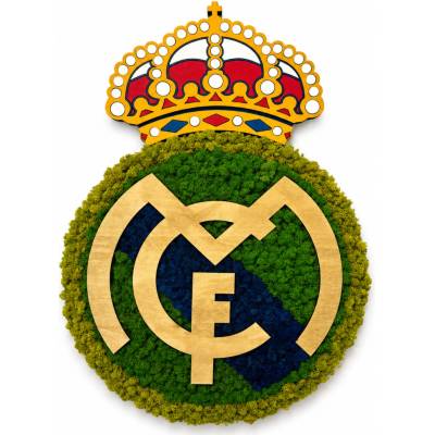 Machové logo - Real Madrid Veľkosť: 67 x 48cm