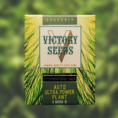 Victory Seeds Auto Ultra Power Plant semienka neobsahujú THC 3 ks